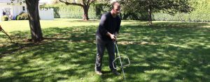Deep Root Feeding Spring Lawn Care
