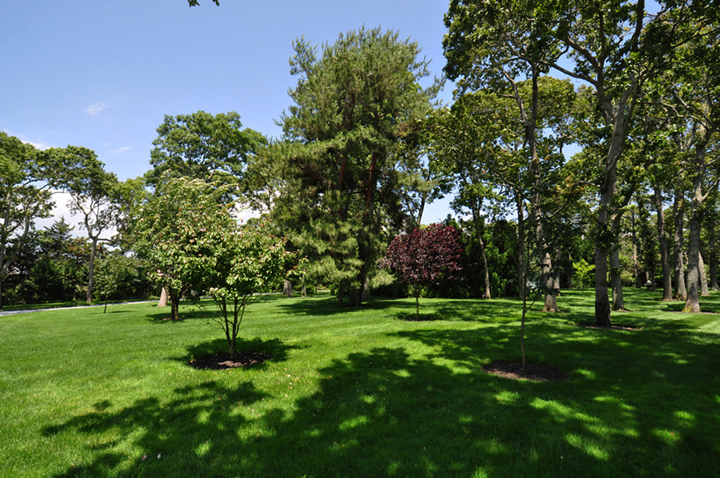 Long Island Property Gallery | Sterling Tree and Lawn Services