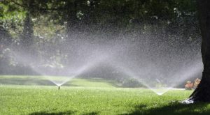 Sprinkler System Maintenance Feature